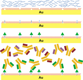 Capturing Large-Molecule Fish with Small-Molecule Bait.