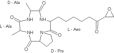 HC-Toxin