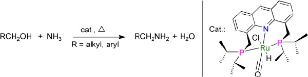 Ruthenium catalyst: amine synthesis