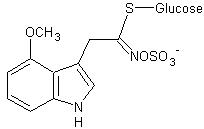 4-Methoxyindol-3-yl-methylglucosinolat