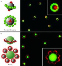 New Nano-Structures