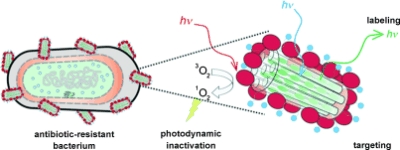 Photoactive Hybrid Nanomaterial against Antibiotic-Resistant Bacteria