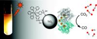 Carbon dioxide photoreduction