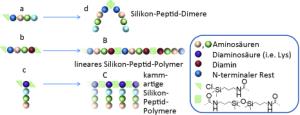 Silikon-Peptid-Copolymere