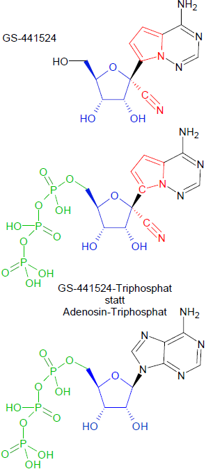 GS-441524 versus Adenosin