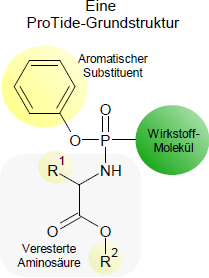 ProTide-Grundstruktur