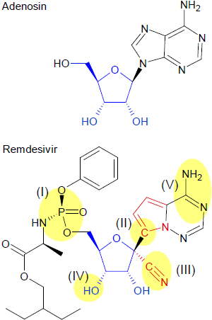 Remdesivir Strukturelemente