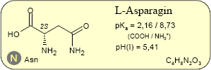 Asparagin