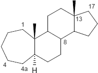 4a-Homo-5a-Androstan