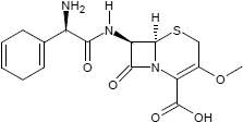 Cefroxadin