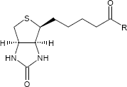 Biotinoyl-Gruppe