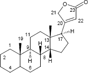 Cardenolid