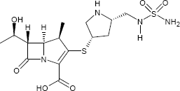 Doripenem