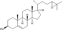 24,25-Epoxycholesterol