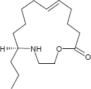 Epilachnen Epilachnen