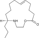 Epilachnen