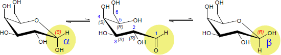 D-Galactose-Pyranose