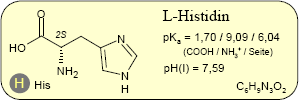 Histidin