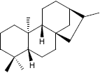 ent-Kauran