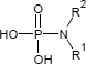 Phosphoramidate Phosphoramidate