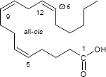 Pinolensäure