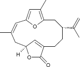 Rubifolid