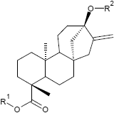 Steviol-Aglycon