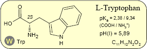 Tryptophan