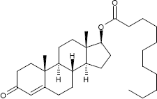 Warum Sustanon 250 erfolgreich ist