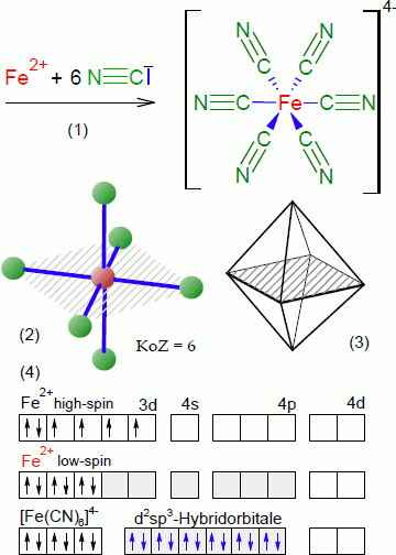 Hexacyanidoferrat(II)-Ion