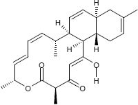 Anthracimycin