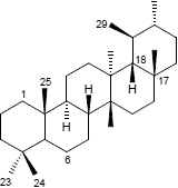 Baueran