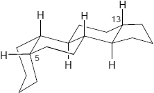 5b-Gonan