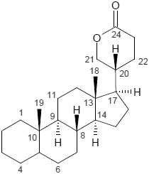 steroide oral - Nicht für jedermann