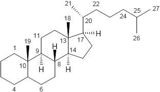 Cholestan