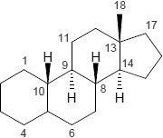 Estran