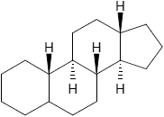 Gonan-anum