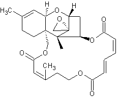 Verrucarin J