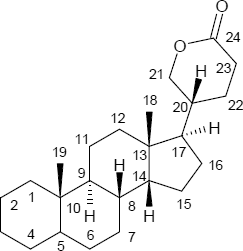 Grundstruktur Bufadienolide