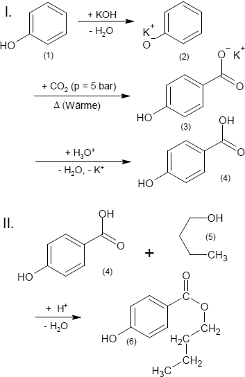 Synthese von Butylparaben