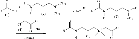 CAPB-Synthese