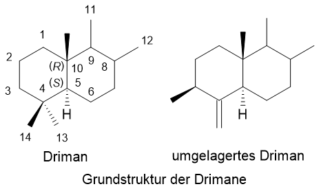 Grundstruktur der Drimane Grundstruktur der Drimane