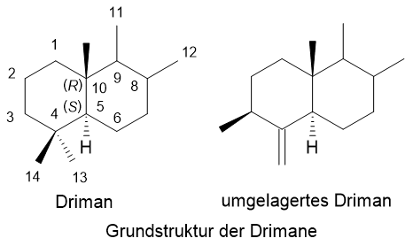 Grundstruktur der Drimane