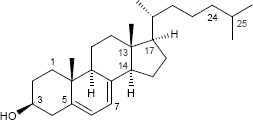 7-Dehydrocholesterol