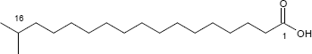Isostearinsäure Isostearinsäure