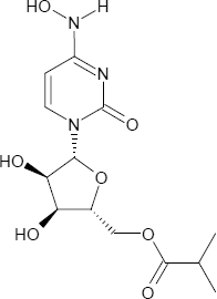 Molnupiravir