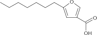 Paläofuran-A Paläofuran-A