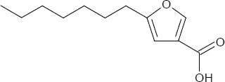 Paläofuran-A