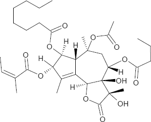 Thapsigargin