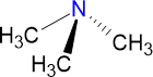 Trimethylamin Trimethylamin
